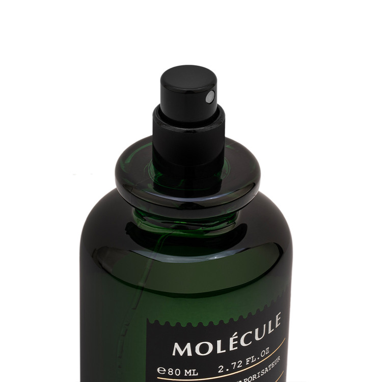 خرید Niche House Molecule